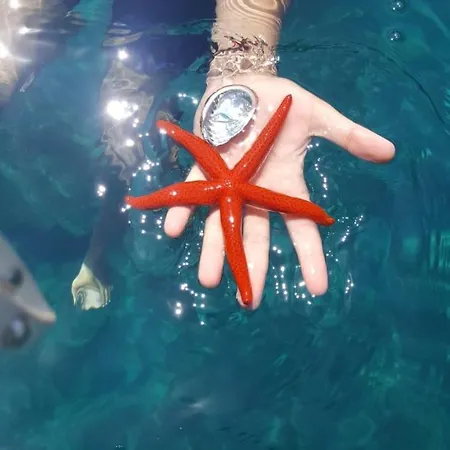 La Casa Nell'aria Casa Scacciapensieri Nyaraló Taormina