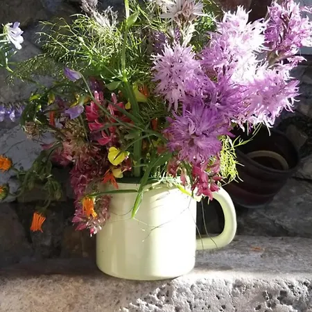 Casa Scacciapensieri Piccolo Museo Taormina *