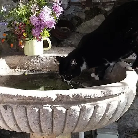 Nyaraló La Casa Nell'aria Casa Scacciapensieri Taormina