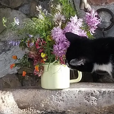 La Casa Nell'aria Casa Scacciapensieri Nyaraló